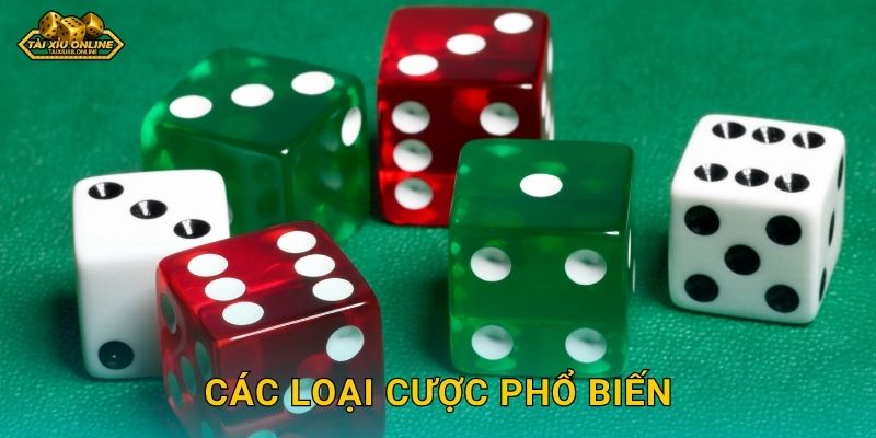Các loại cược phổ biến