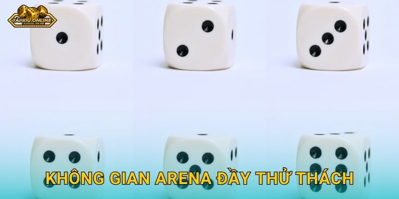 Không gian Arena đầy thử thách